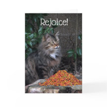 Kat met een Kaart van het Mirakel van Pasen