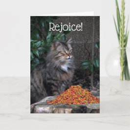 Kat met een Kaart van het Mirakel van Pasen