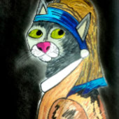 Kat met een regenboogdeken kaart