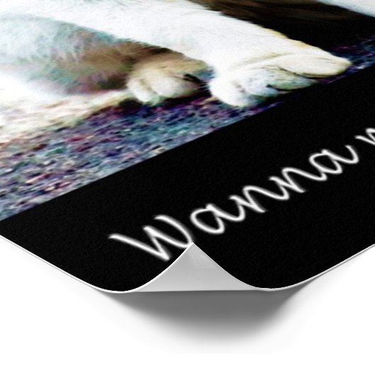 Kat met een stand-poster poster (Hoek)