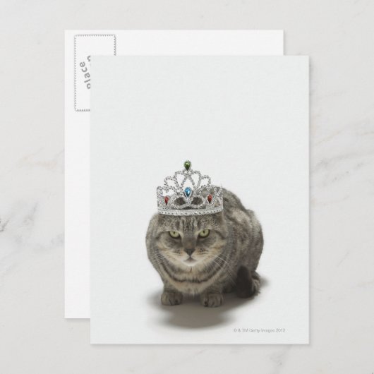 Kat met een tiara briefkaart (Voorkant / Achterkant)