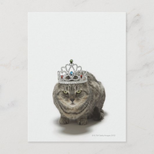 Kat met een tiara briefkaart (Voorkant)