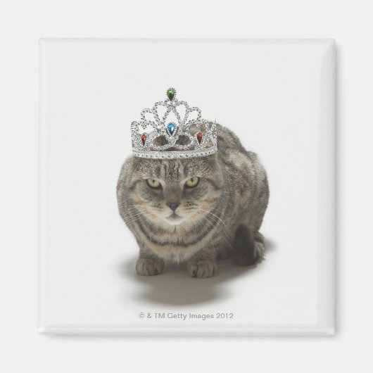 Kat met een tiara magneet (Voorkant)