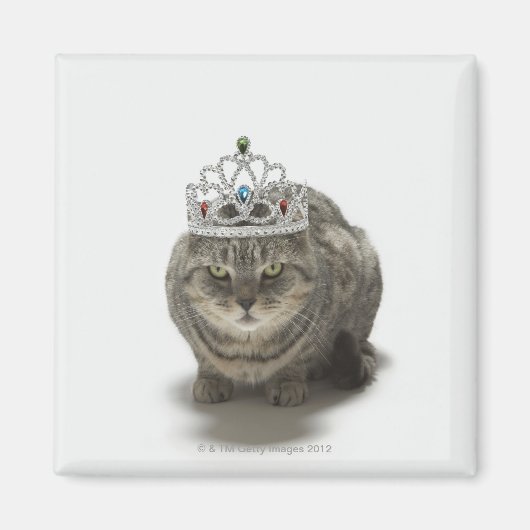 Kat met een tiara magneet (Voorkant)