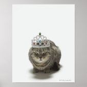 Kat met een tiara poster (Voorkant)