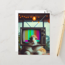 Kat Met een  tv-gezicht