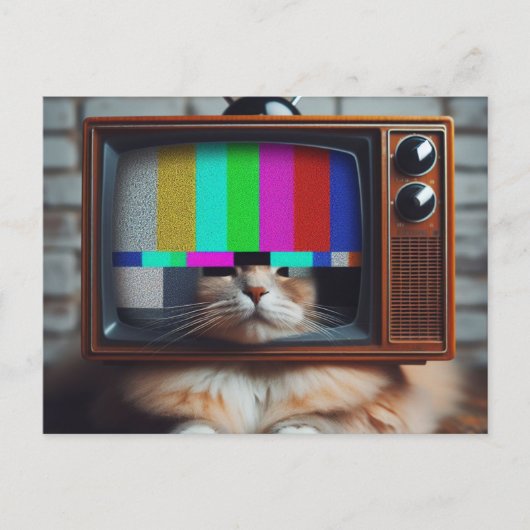 Kat Met een  tv-gezicht Briefkaart (Voorkant)