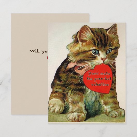 kat met een valentijn-berichtkaart kaart (Voorkant / Achterkant)