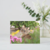 Kat met geranium briefkaart (Staand voorkant)