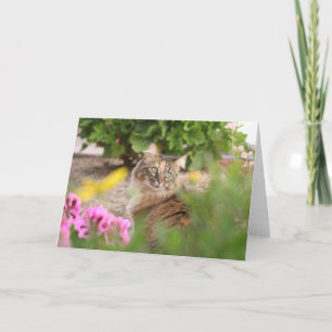 Kat met Geranium Kaart
