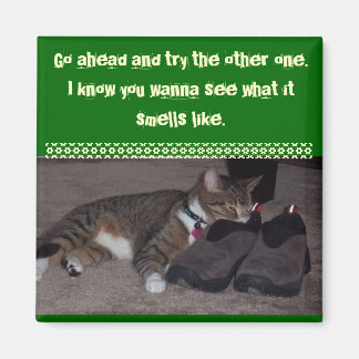 Kat met gezicht in schoen magneet