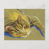 Kat met goudkleurige ogen - Pasteltekening Briefkaart (Voorkant)