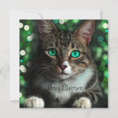 Kat met Green Eyes Flat Square-kerstkaart Kaart (Voorkant)