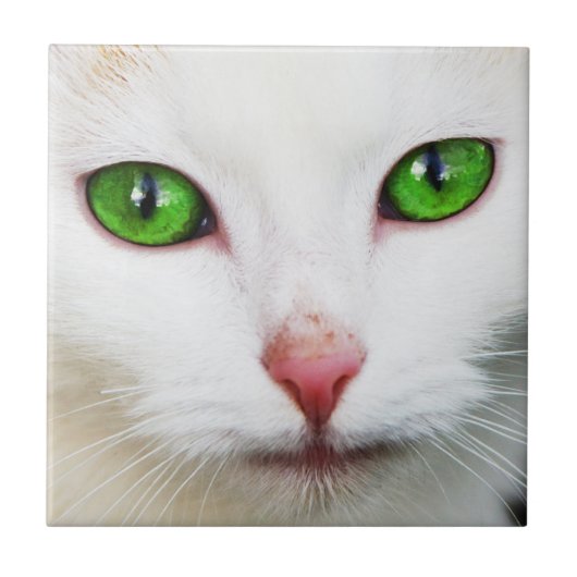 Kat met Green Eyes Tile Tegeltje (Voorkant)