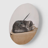 Kat met grijze tablet in de doos grote klok (Hoek)
