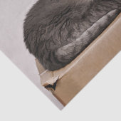 Kat met grijze tablet in de doos tissuepapier (Detail)