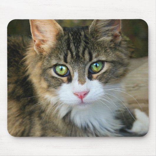 Kat met groene ogen muismat (Voorkant)