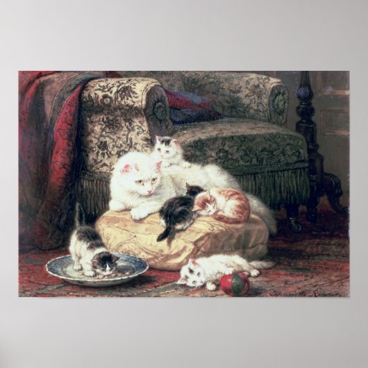Kat met haar Kittens op een kussen Poster (Voorkant)