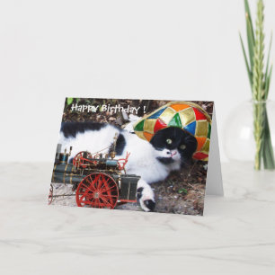 KAT MET HARLEKIJNEN HOED Verjaardagswensen Kaart