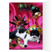 KAT MET HARLEQUIN PET EN MASKERADE PARTIJMASKERS (Binnen (Links))