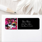 KAT MET HARLEQUIN PET EN MASKERADE PARTIJMASKERS ETIKET (Insitu)