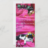 KAT MET HARLEQUIN PET EN MASKERADE PARTIJMASKERS KAART (Achterkant)