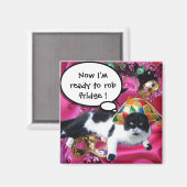 KAT MET HARLEQUIN PET EN MASKERADE PARTIJMASKERS MAGNEET (Voorkant / Achterkant)