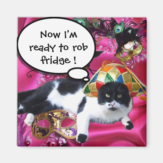 KAT MET HARLEQUIN PET EN MASKERADE PARTIJMASKERS MAGNEET (Voorkant)