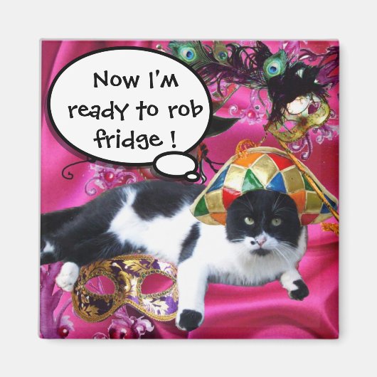 KAT MET HARLEQUIN PET EN MASKERADE PARTIJMASKERS MAGNEET (Voorkant)