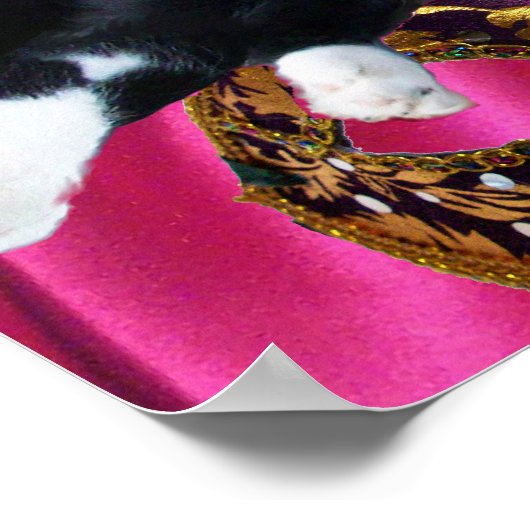 KAT MET HARLEQUIN PET EN MASKERADE PARTIJMASKERS POSTER (Hoek)