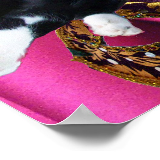 KAT MET HARLEQUIN PET EN MASKERADE PARTIJMASKERS POSTER (Hoek)