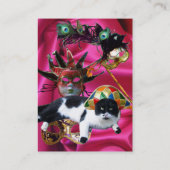 KAT MET HARLEQUIN PET EN MASKERADE PARTIJMASKERS VISITEKAARTJE (Achterkant)