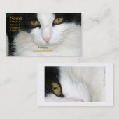 Kat met het Visitekaartje Golden Eyes (Voorkant / Achterkant)