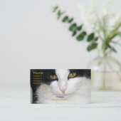 Kat met het Visitekaartje Golden Eyes (Staand voorkant)