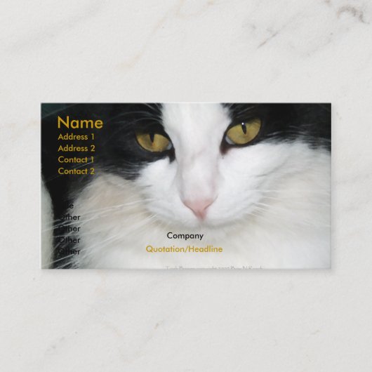 Kat met het Visitekaartje Golden Eyes (Voorkant)
