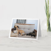 Kat met Hond op Bank Kaart (Voorkant)