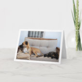 Kat met Hond op Bank Kaart (Voorkant)