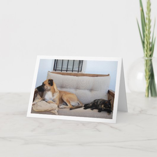 Kat met Hond op Bank Kaart (Voorkant)