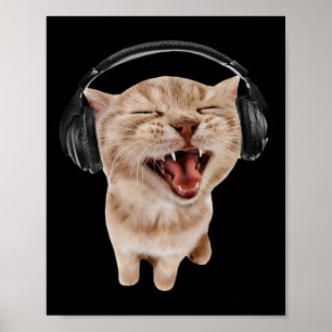 Kat met hoofdtelefoon meme poster