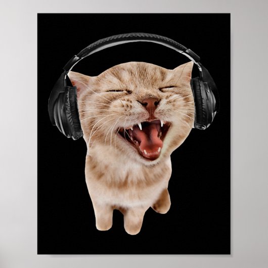Kat met hoofdtelefoon meme poster (Voorkant)