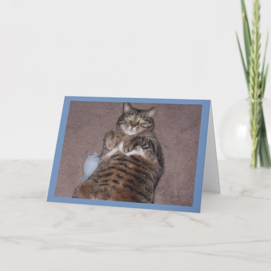 Kat met Kaart van de baarddag (Voorkant)