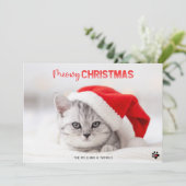 Kat met kerstcadeaubon voor lakens met paketpapier feestdagenkaart (Staand voorkant)