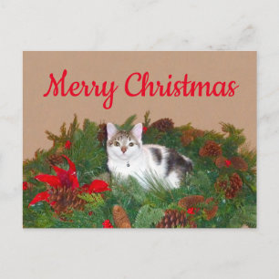 Kat met kerstkaart feestdagenkaart