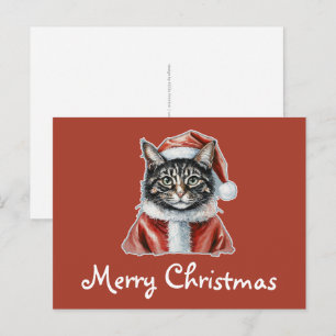 Kat met kerstmanoutfit - Kerstmis 1 Briefkaart
