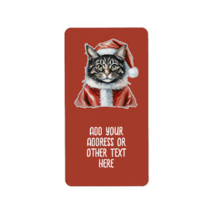 Kat met kerstmanoutfit - Kerstmis 1 Etiket