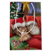 Kat met kerstmis medium cadeauzakje (Voorkant)