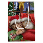 Kat met kerstmis medium cadeauzakje (Achterkant)