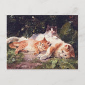 Kat met Kittens Fine Art Briefkaart (Voorkant)