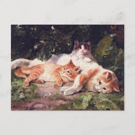 Kat met Kittens Fine Art Briefkaart (Voorkant)