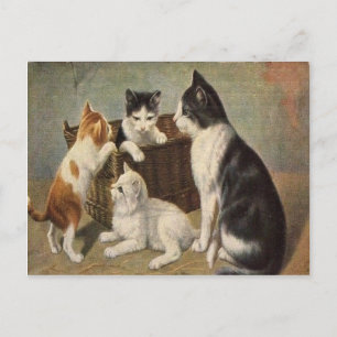 Kat met Kittens in het Briefkaart van de Vintage v